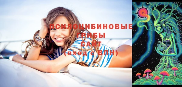apvp Арсеньев
