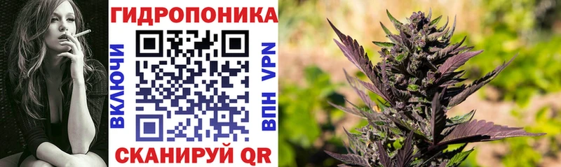 Бошки Шишки индика  хочу   Полярный 